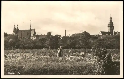 Ansichtskarte Pegau Partie an der Stadt - Fotokarte 1928