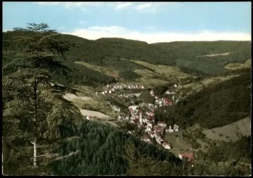 Ansichtskarte Bad Peterstal-Griesbach Panorama-Ansicht Renchtal 1968