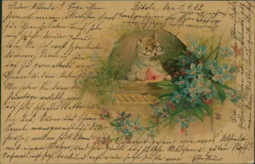 Ansichtskarte  Tiere als Menschen Künstlerkarte Katze mit Brille 1902