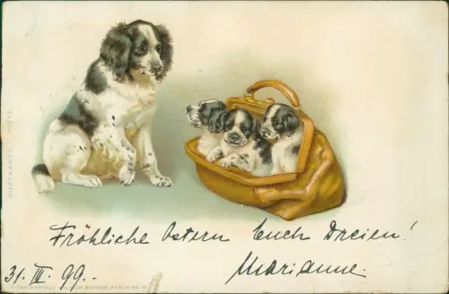 Ansichtskarte  Tiere - Hunde Welpen in Handtasche Künstlerkarte 1899
