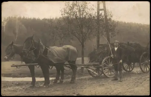 Foto  Landwirt mit Pferdekarren und Heu 1920 Privatfoto