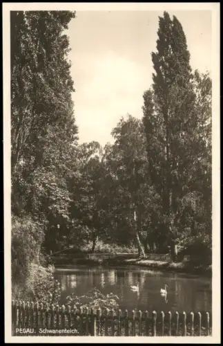 Ansichtskarte Pegau Schwanenteich - Fotokarte 1928