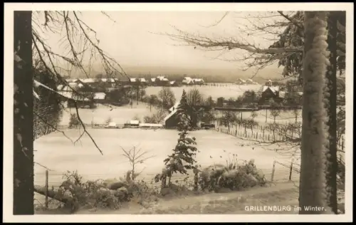 Ansichtskarte Grillenburg-Tharandt Stadt im Winter Tharandter Wald 1928