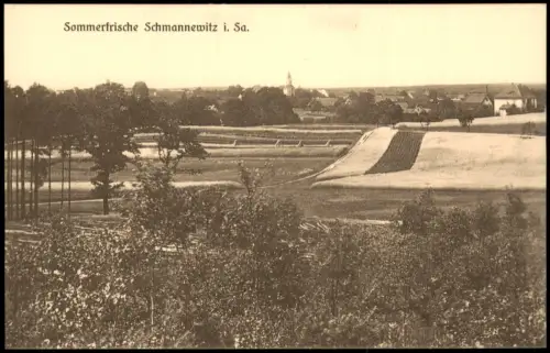 Ansichtskarte Schmannewitz-Dahlen Fernblick auf die Stadt 1928