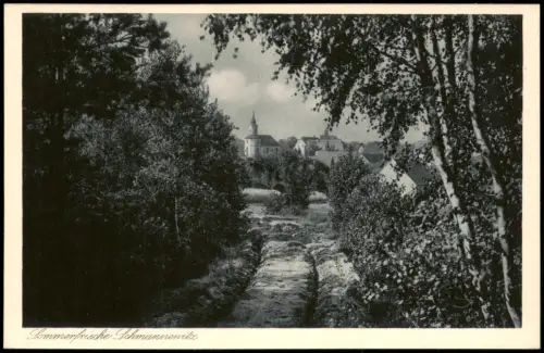 Ansichtskarte Schmannewitz-Dahlen Waldweg mit Blick zur Stadt 1928