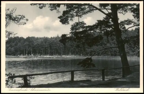 Ansichtskarte Schmannewitz-Dahlen Waldteich Badestrand 1928