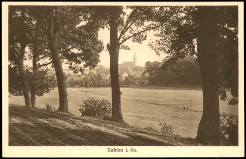 Ansichtskarte Dahlen Waldweg und Stadt 1928