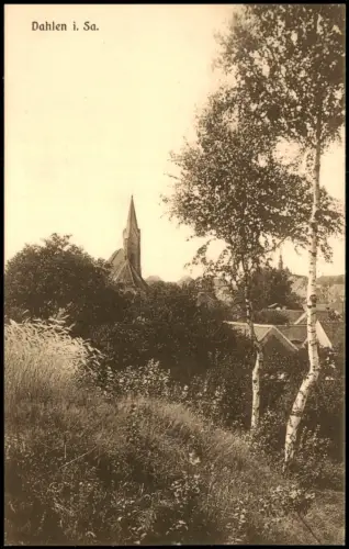 Ansichtskarte Dahlen Blick vom Hang auf die Kirche - Birken 1928