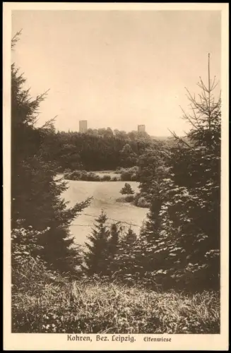 Ansichtskarte Kohren-Sahlis Elfenwiese 1928