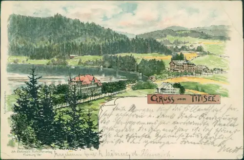 Ansichtskarte Litho AK Titisee-Titisee-Neustadt Titisee mit Hotels 1900