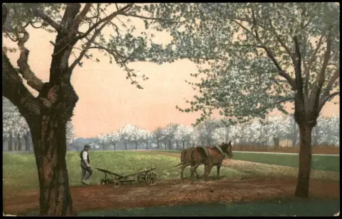 Ansichtskarte  Bauern/Landwirtschaft: Acker Pflügen, in der Blüte 1920