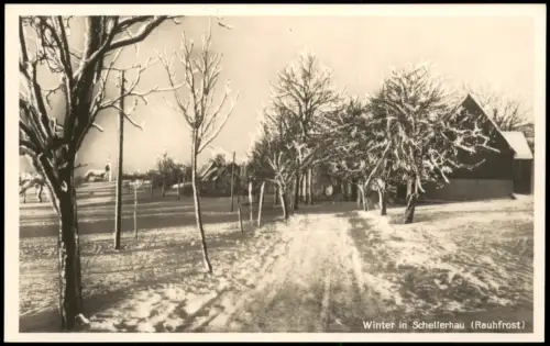 Ansichtskarte Schellerhau-Altenberg (Erzgebirge) Straßenpartie im Winter 1928