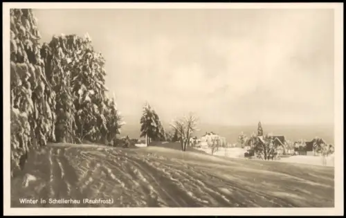Schellerhau-Altenberg (Erzgebirge) Vom Waldesrand auf die Stadt im Winter 1928