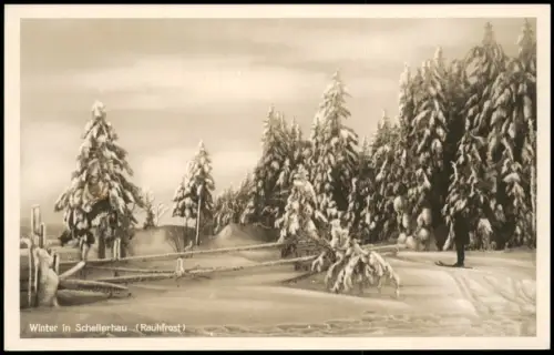 Ansichtskarte Schellerhau-Altenberg (Erzgebirge) Winter am Waldesrand 1928