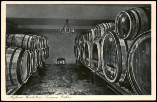 Ansichtskarte Meißen Weinkellerei-Vincenz Richter, Weinkeller 1928