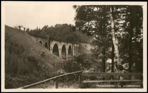 Ansichtskarte Frankenberg (Sachsen) Lützeltalbrücke, Birke - Fotokarte 1928