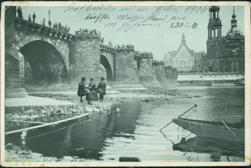 Ansichtskarte Dresden Skatspieler mitten in der Elbe 1908