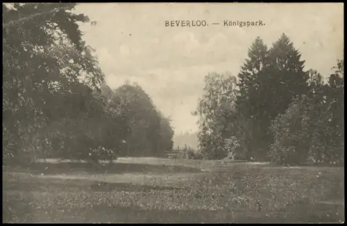 Postkaart Beverlo-Beringen Beverloo Berringe Königspark 1916