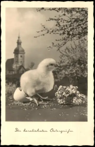Ansichtskarte  Osterkarte mit frisch geschlüpftem Küken und Blumenkorb 1930