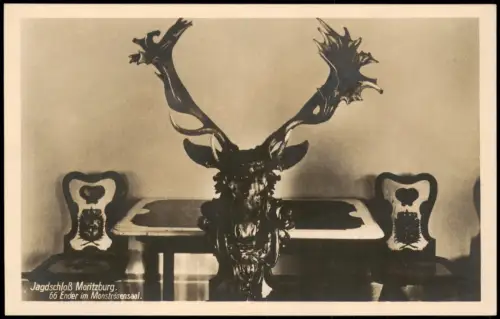 Moritzburg Jagdschloß Moritzburg.66 Ender im Monströsensaal. 1928