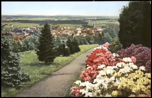 Ansichtskarte Kamenz Kamjenc Blick vom Hutbergauf Azaleen 1915