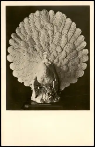 Ansichtskarte  Radschlagender Pfau (Meißner Porzellan) 1955