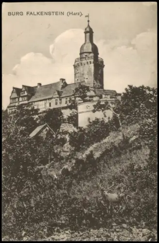 Pansfelde-Falkenstein/Harz Burg Falkenstein im Harz mit Hirsch 1934