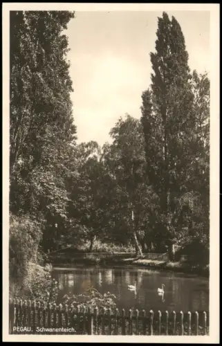 Ansichtskarte Pegau Schwanenteich - Fotokarte 1928