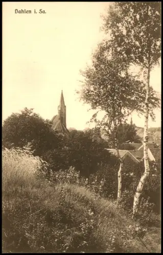 Ansichtskarte Dahlen Blick vom Hang auf die Kirche - Birken 1928