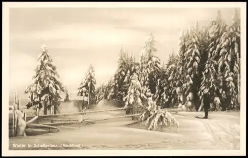 Ansichtskarte Schellerhau-Altenberg (Erzgebirge) Winter am Waldesrand 1928