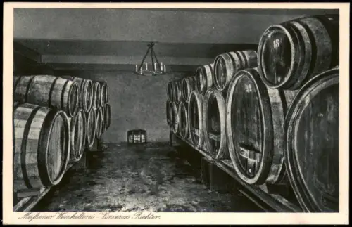 Ansichtskarte Meißen Weinkellerei-Vincenz Richter, Weinkeller 1928