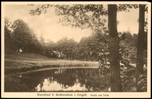 Ansichtskarte Warmbad-Wolkenstein Partie am teich 1922