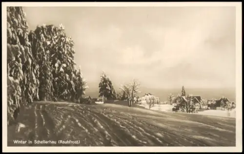 Schellerhau-Altenberg (Erzgebirge) Vom Waldesrand auf die Stadt im Winter 1928