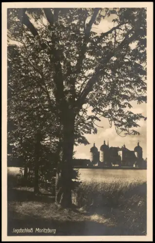 Ansichtskarte Moritzburg Kgl. Jagdschloss Bäume am Ufer 1928
