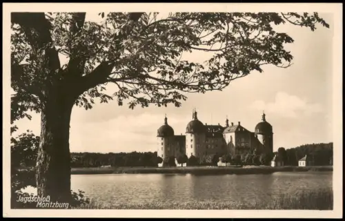 Ansichtskarte Moritzburg Kgl. Jagdschloss Baum Fotokarte 1928