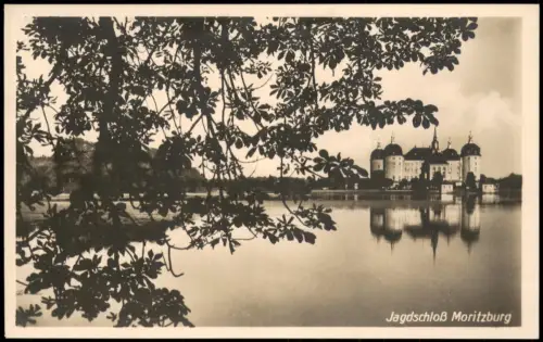 Ansichtskarte Moritzburg Kastanie Kgl. Jagdschloss 1928