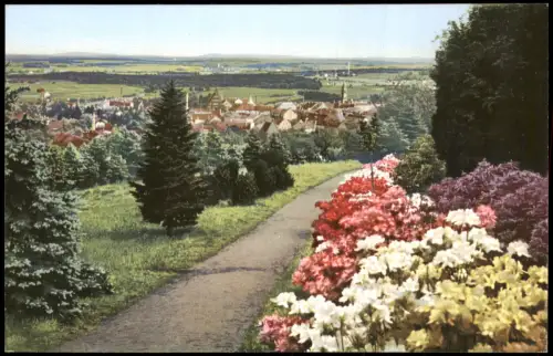 Ansichtskarte Kamenz Kamjenc Blick vom Hutbergauf Azaleen 1915