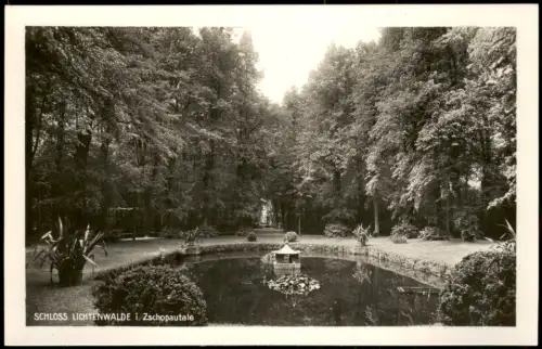Lichtenwalde Niederwiesa Schloßpark 1931  gel Bahnpoststempel Chemnitz Rosswein