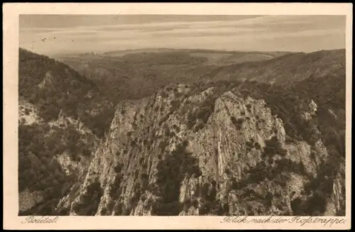 Ansichtskarte Thale (Harz) Blick nach der Roßtrappe im Bodetal 1921