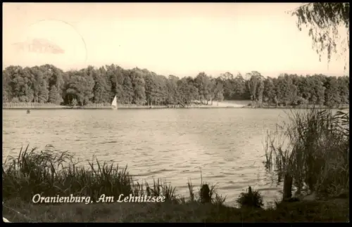 Ansichtskarte Oranienburg Blick über den Lehnitzsee mit Segelboot 1960