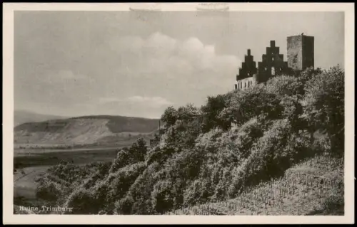 Ansichtskarte Trimberg Ruine Trimburg 1930