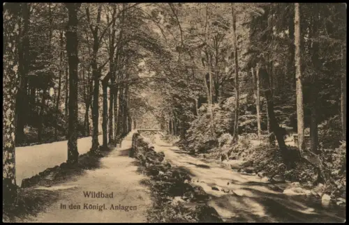 Ansichtskarte Bad Wildbad In den Königlichen Anlagen 1905