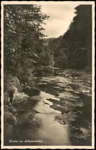 Ansichtskarte Mittleres Schwarzatal Partie im Schwarzatal 1930