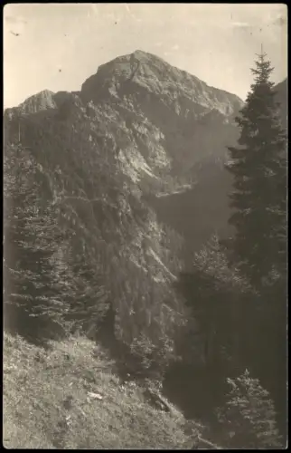 Ansichtskarte Ruhpolding Sonntagshorn, Chiemgauer Alpen 1926
