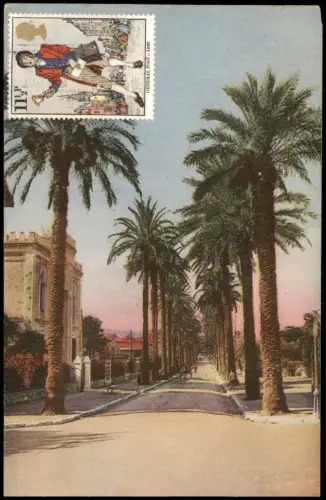 Hyères-les-Palmiers Avenue Costa de Beauregard mit Palmenallee 1915
