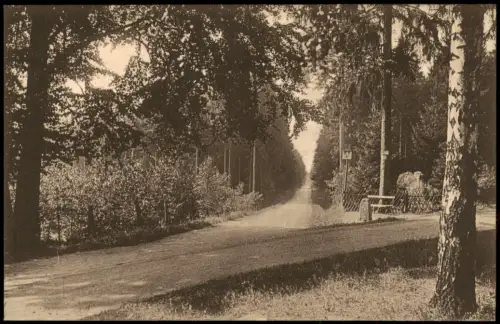 Hintergersdorf-Tharandt Kurort Hartha Harthaflügel. Fotokarte 1928