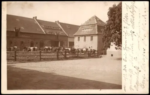 Foto  Gutshof mit Viehhaltung 1910 Privatfoto  Landsberg