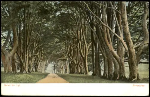 Postcard Inveraray Baumallee 1905
