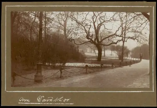 Foto Hamburg Parkanlage am Dammtor 1901 Privatfoto