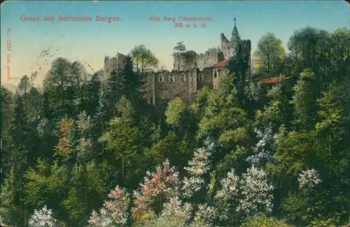 Ansichtskarte Fürstenstein Alte Burg, Aus Schlesiens Bergen 1922